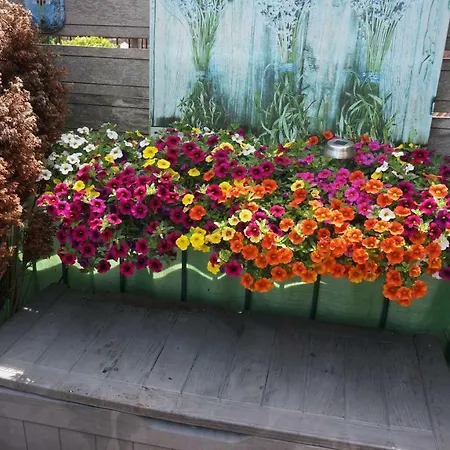 Bed & Breakfast Roof Terrace