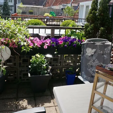 Roof Terrace