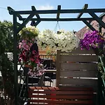 Oda ve Kahvaltı Roof Terrace Amsterdam