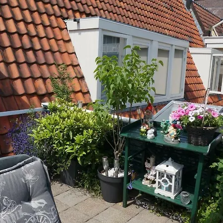 Roof Terrace