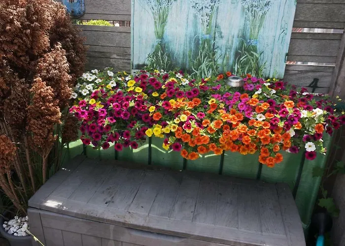 Bed & Breakfast Roof Terrace