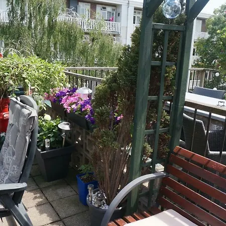 Roof Terrace