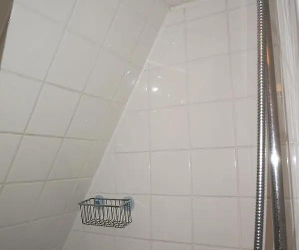 阿姆斯特丹屋顶露台住宿加早餐旅馆 4* 阿姆斯特丹